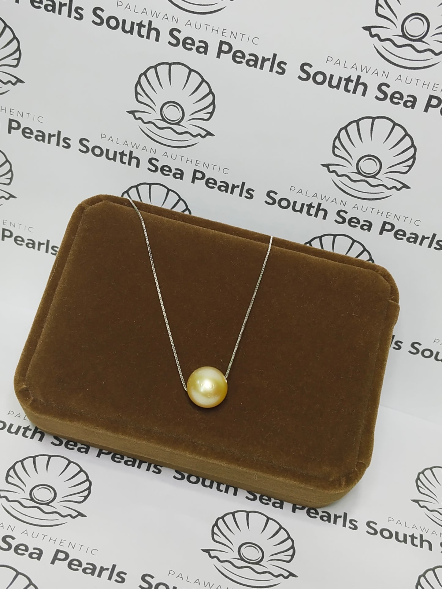 11.2mm Authentic Champagne Color South Sea Pearl Floating Necklace in S925 Setting