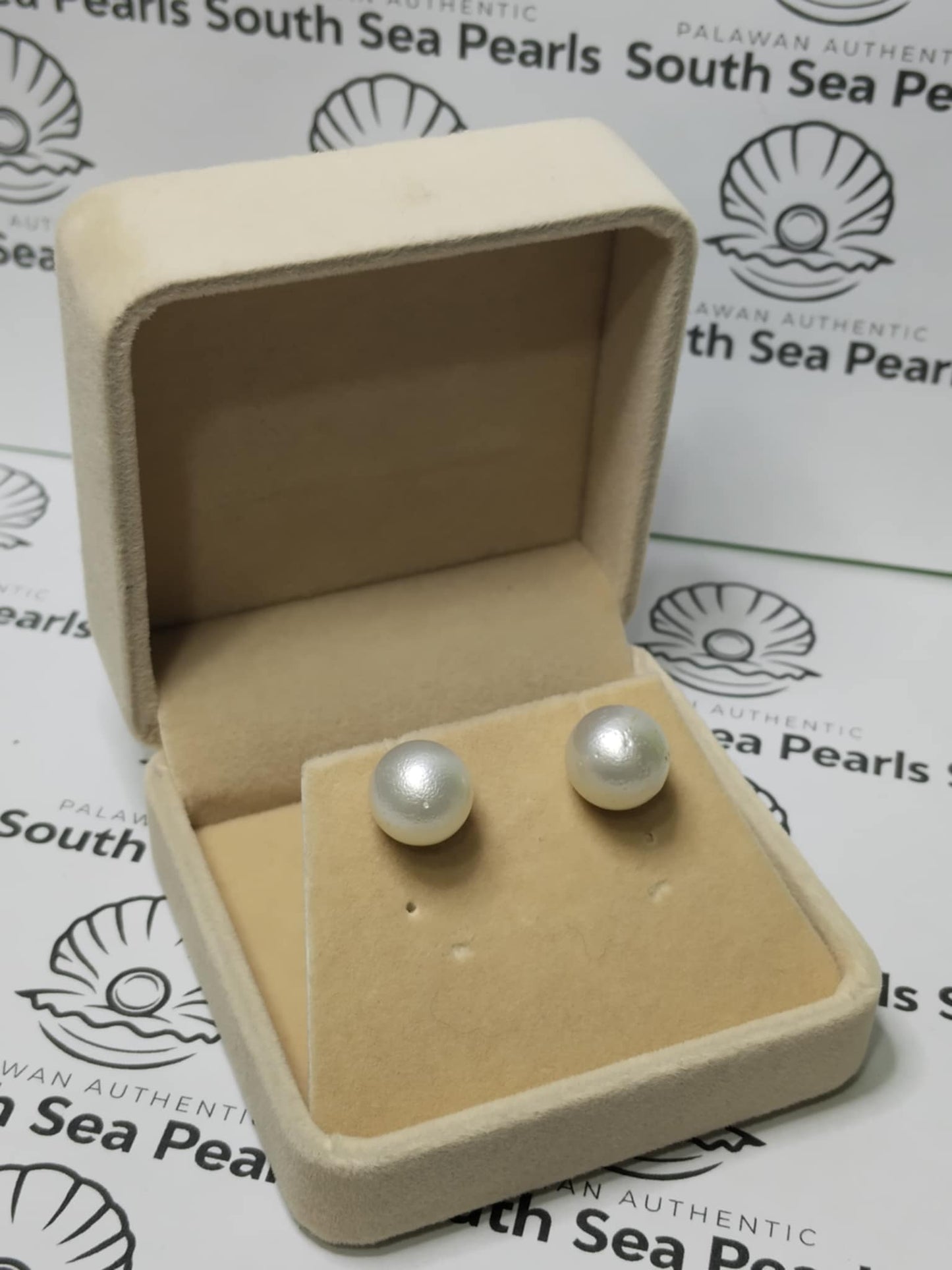 New Arrival! 11.6 to 12mm Authentic White South Sea Pearl Earrings in 5 Micron Plated Settings