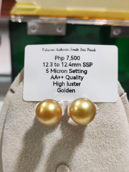 12.3mm to 12.4mm Authentic Golden South Sea Pearls Earrings in 5 Microns Plated Settings