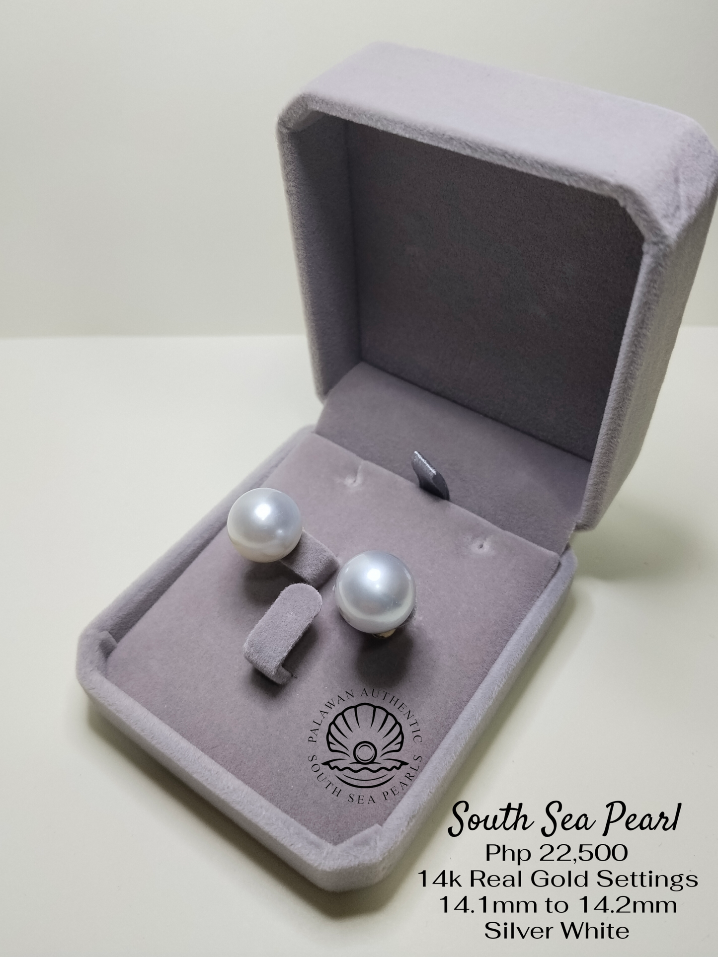 New Arrival! 14.1 to 14.2mm Palawan Authentic Silver White South Sea Pearl Earrings in 14k Real Gold Settings