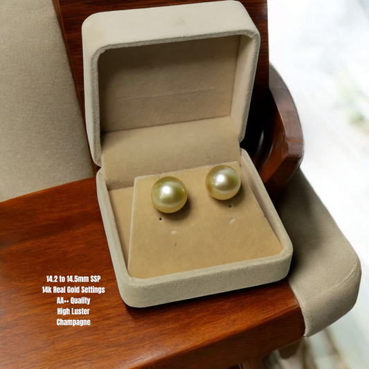 New Arrival! 14.mm Authentic Champagne Color South Sea Pearls Earrings in 14K Gold Settings