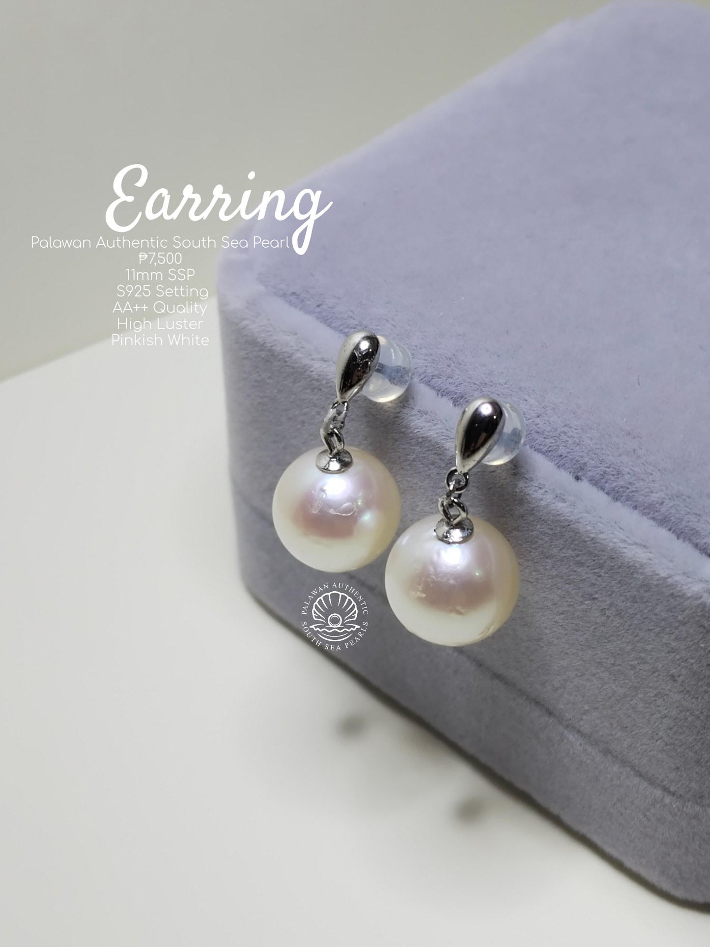 11mm Palawan Authentic Pinkish White South Sea Pearls Earrings in S925 Settings