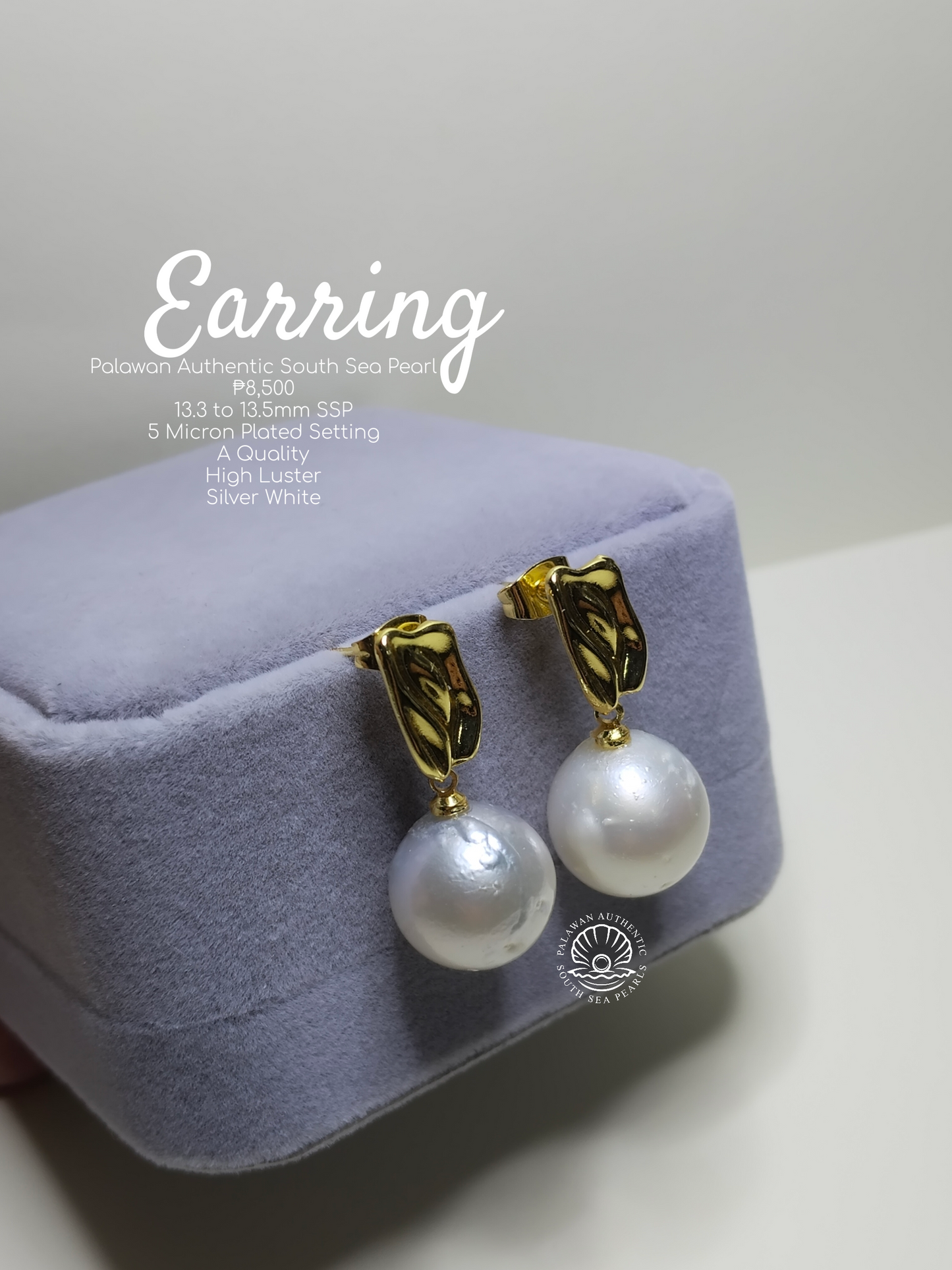 13.3 to 13.5mm Palawan Authentic Silver White South Sea Pearl Earrings in 5 Micron Plated Settings
