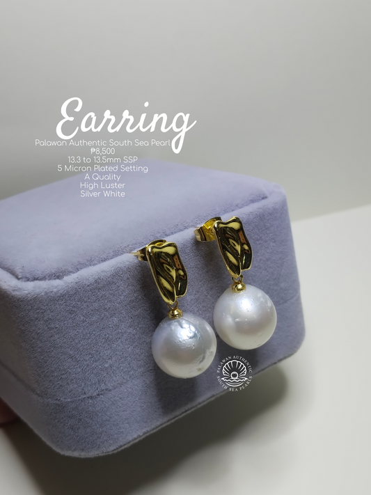 13.3 to 13.5mm Palawan Authentic Silver White South Sea Pearl Earrings in 5 Micron Plated Settings