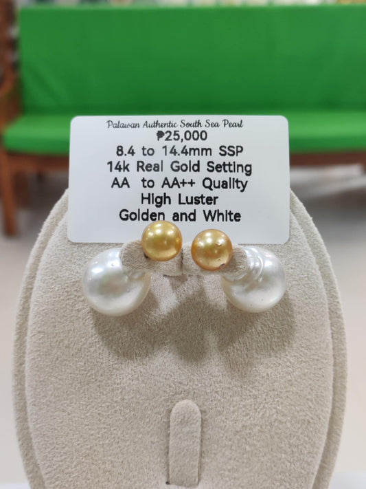 8.4mm & 14.4mm Authentic Golden & White South Sea Pearls Earrings in 14k Gold Settings