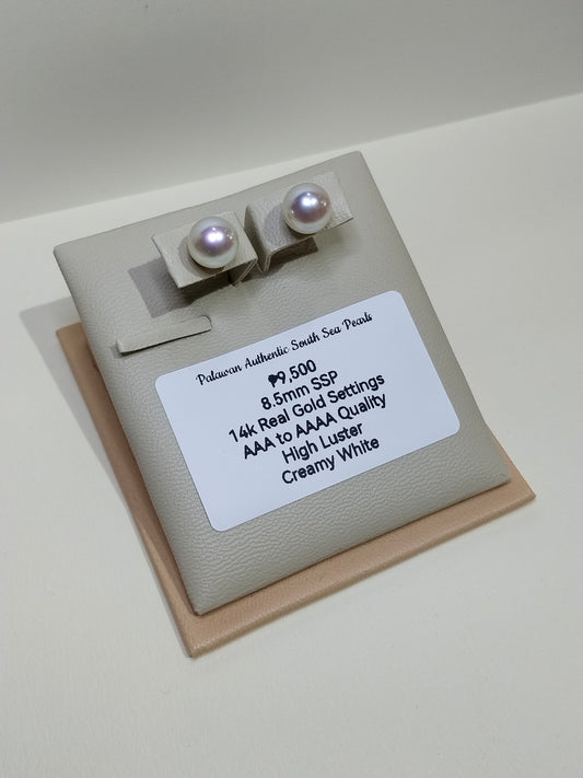 New Arrival! 8.5mm Palawan Authentic Creamy White Color South Sea Pearl Earrings in 14k Real Gold Settings