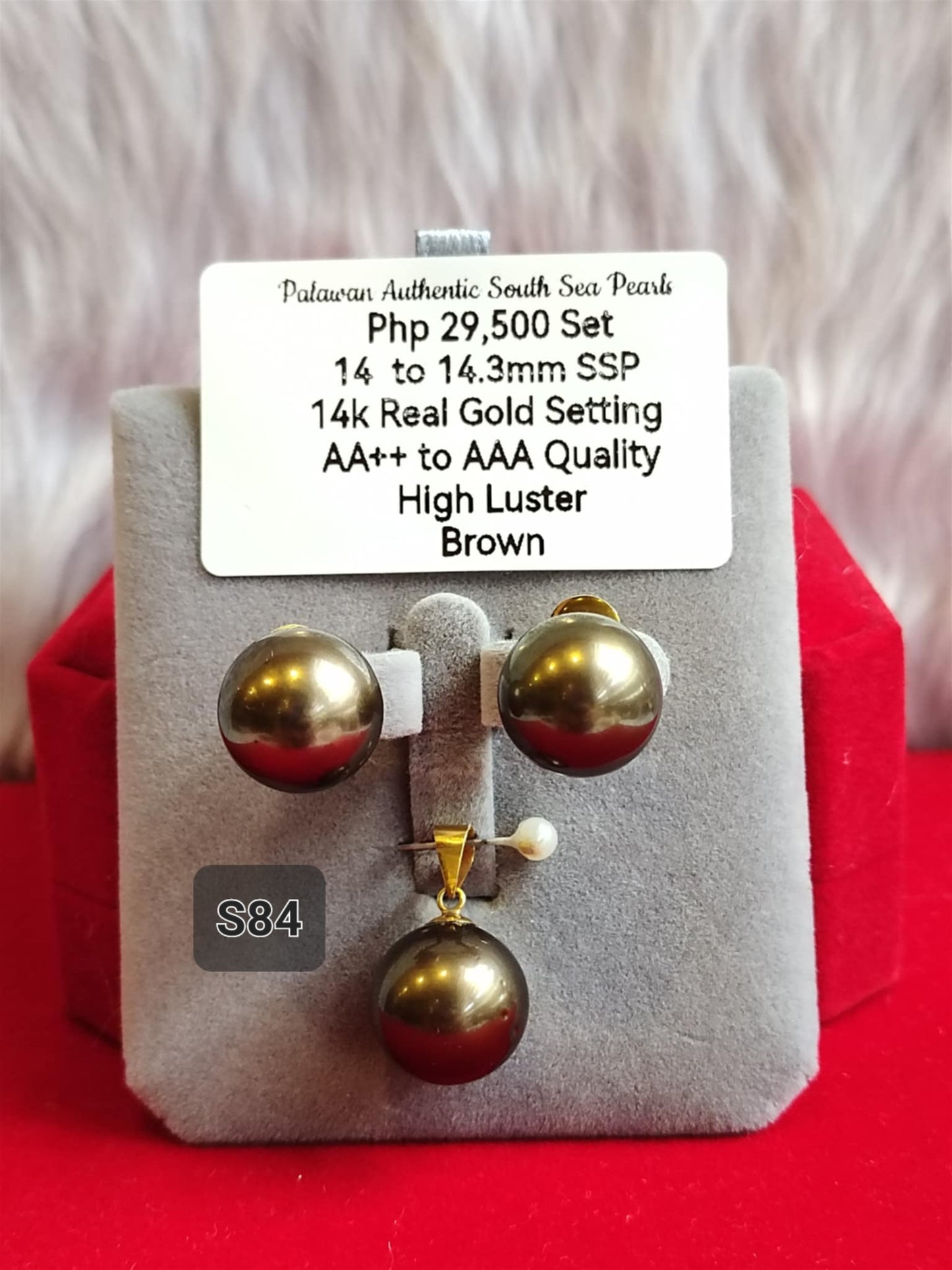 14mm to 14.3mm Authentic Brown Color South Sea Pearls Set in 14K Gold Settings