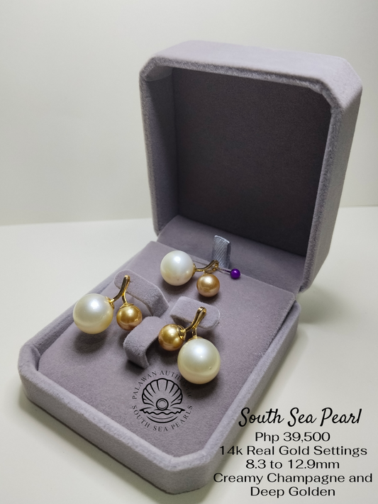 New Arrival! 8.3 to 12.9mm Palawan Authentic Creamy Champagne and Deep Golden Color South Sea Pearl Sets in 14k Real Gold Settings