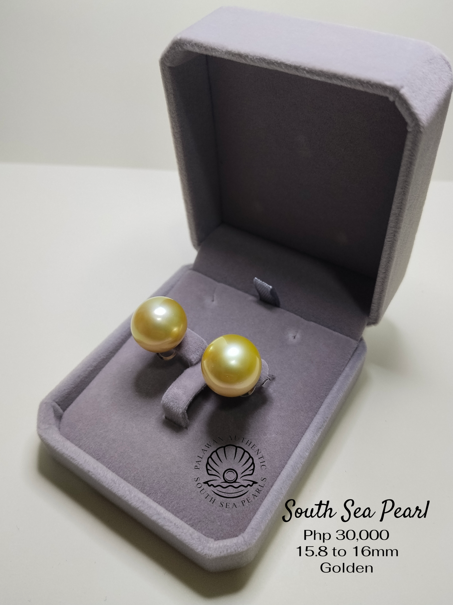15.8 to 16mm Palawan Authentic Golden South Sea Pearl Earrings in Stainless Settings