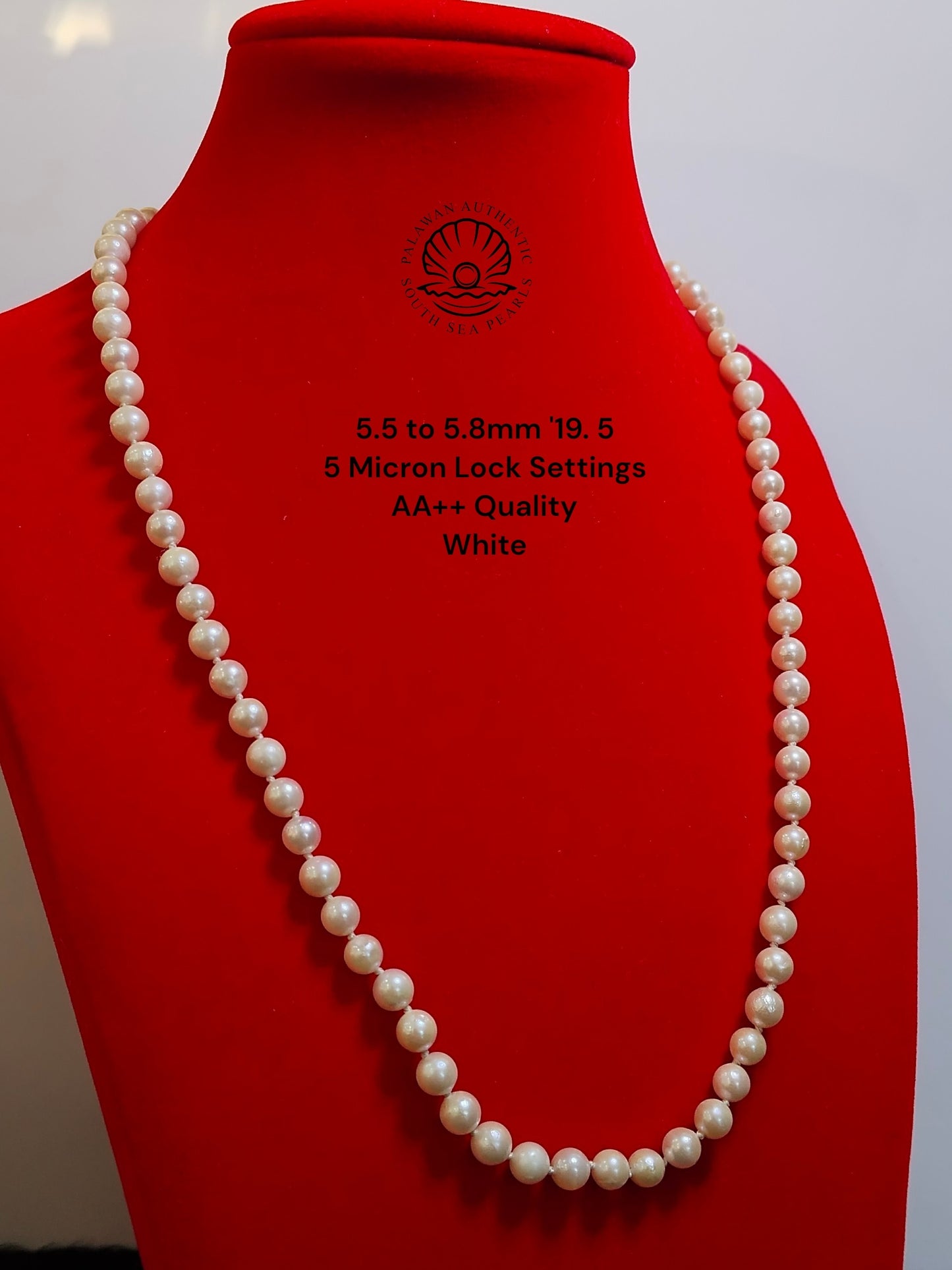 5.5 to 5.8mm Palawan Authentic  White Color South Sea Pearl Choker in 5 Micron Lock Settings
