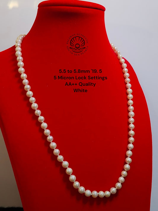 5.5 to 5.8mm Palawan Authentic  White Color South Sea Pearl Choker in 5 Micron Lock Settings