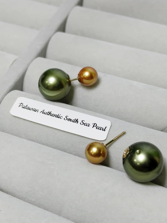 New Arrival! 8.3mm to 14.2mm Authentic Champagne and Pistachio Color South Sea Pearl Earrings in 14k Real Gold Settings
