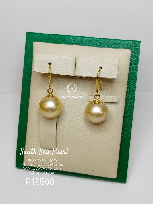 10.8mm to 11mm Palawan Authentic Champagne Color South Sea Pearl Earrings in 14k Real Gold Settings