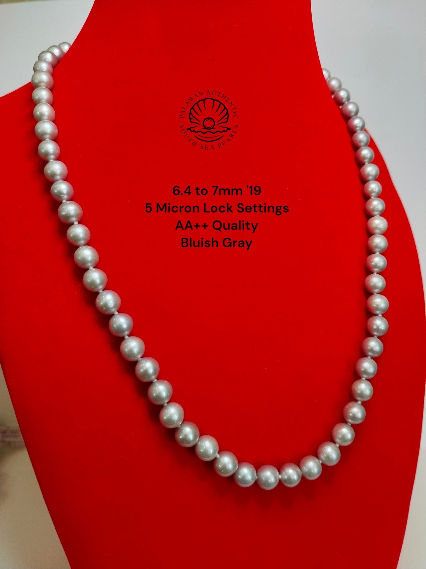 6.4 to 7mm Palawan Authentic  Bluish Gray Color South Sea Pearl Choker in 5 Micron Lock Settings