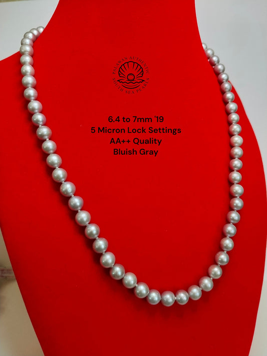 6.4 to 7mm Palawan Authentic  Bluish Gray Color South Sea Pearl Choker in 5 Micron Lock Settings