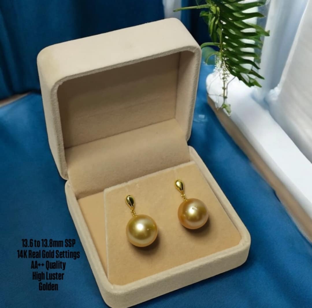 New Arrival! 13.6mm to 13.8mm Authentic Golden Color South Sea Pearl Earrings in 14k Real Gold Settings