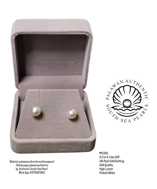 New Arrival! 8.3 to 8.7mm Authentic Pinkish White Color South Sea Pearl Earring in 14k Real Gold Setting
