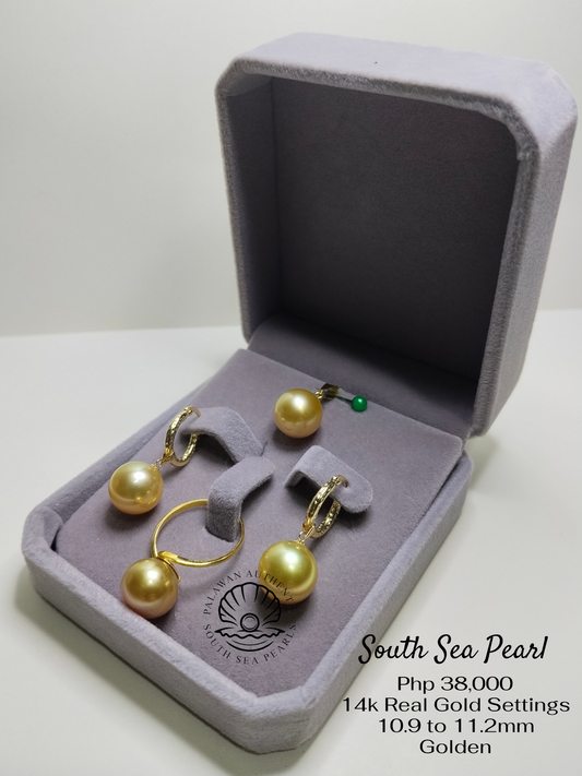 New Arrival! 10.9 to 11.2mm Palawan Authentic Golden South Sea Pearl Sets in 14k Real Gold Settings