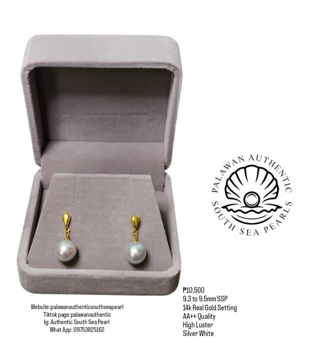 New Arrival! 9.3 to 9.5mm Authentic Silver White Color South Sea Pearl Earring in 14k Real Gold Setting