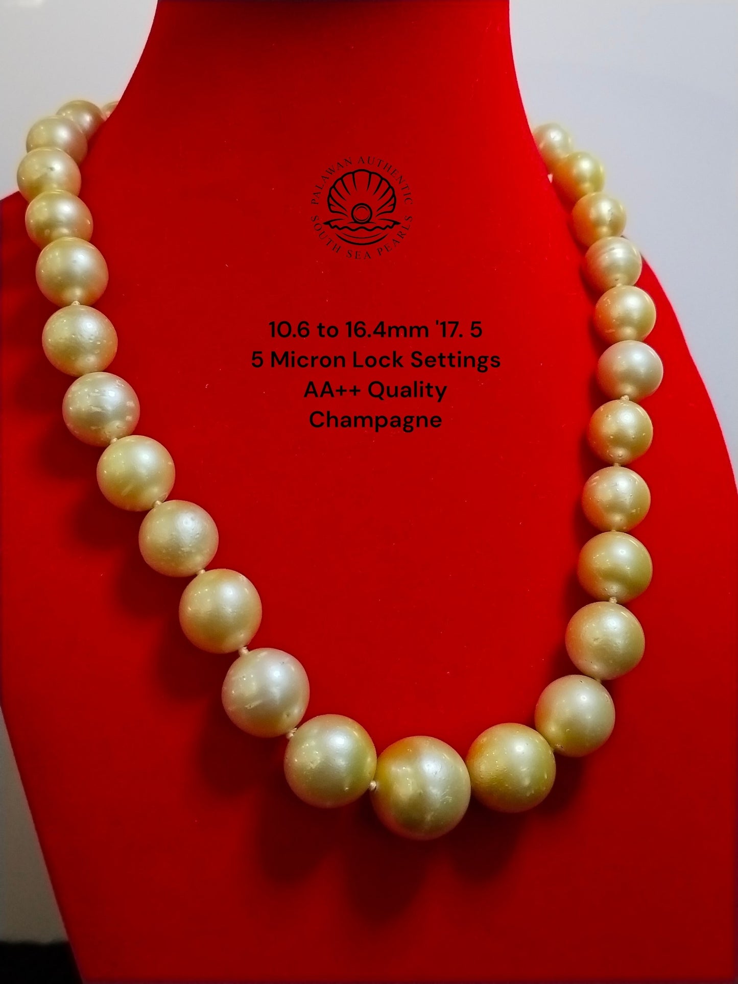 10.6 to 16.4mm Palawan Authentic Champagne Color South Sea Pearl Choker in 5 Micron Lock Settings