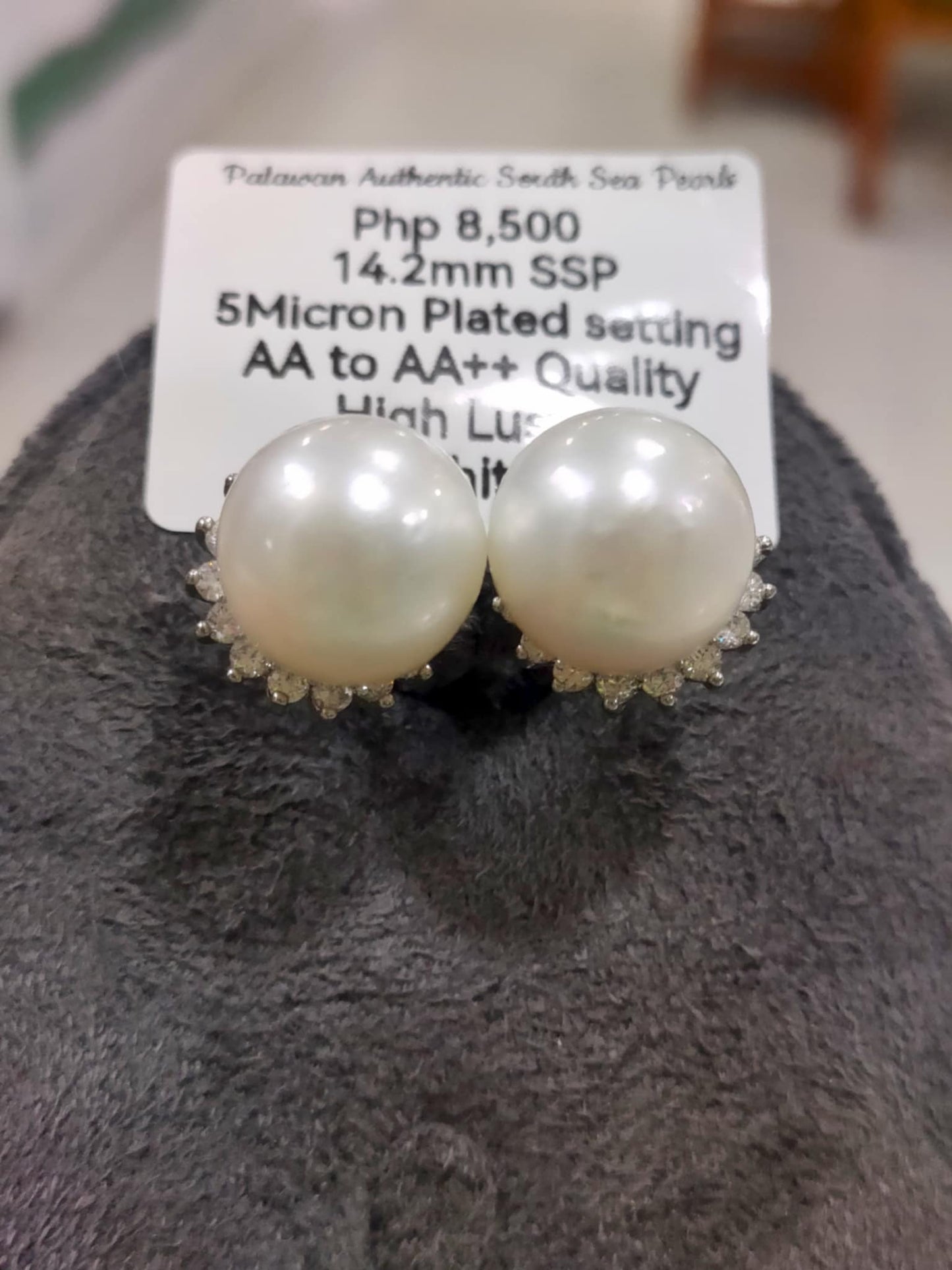 14.2mm Authentic White South Sea Pearls Earrings in 5 Micron Plated Settings