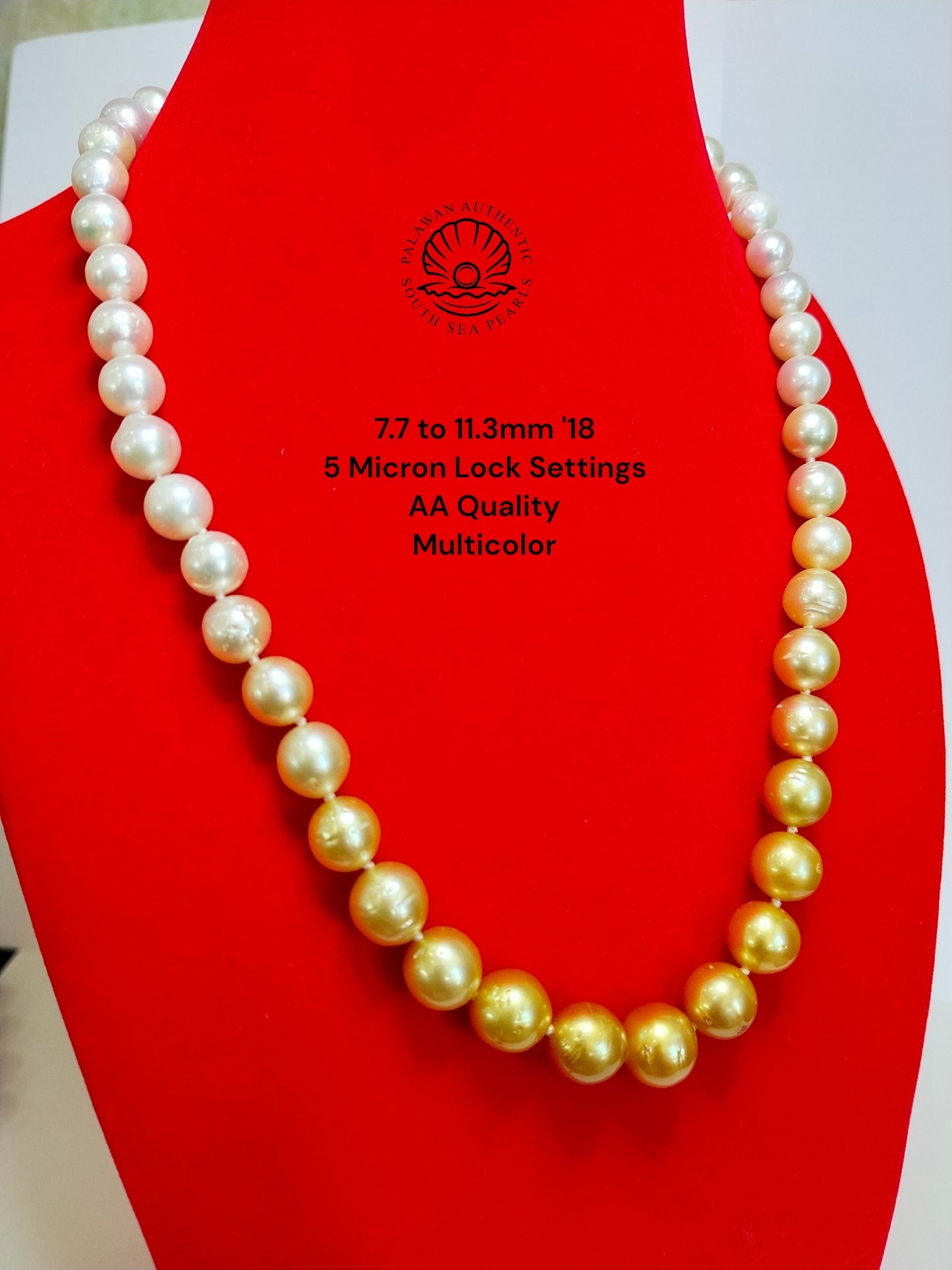 7.7 to 11.3mm Palawan Authentic Multicolor South Sea Pearl Choker in 5 Micron Lock Settings
