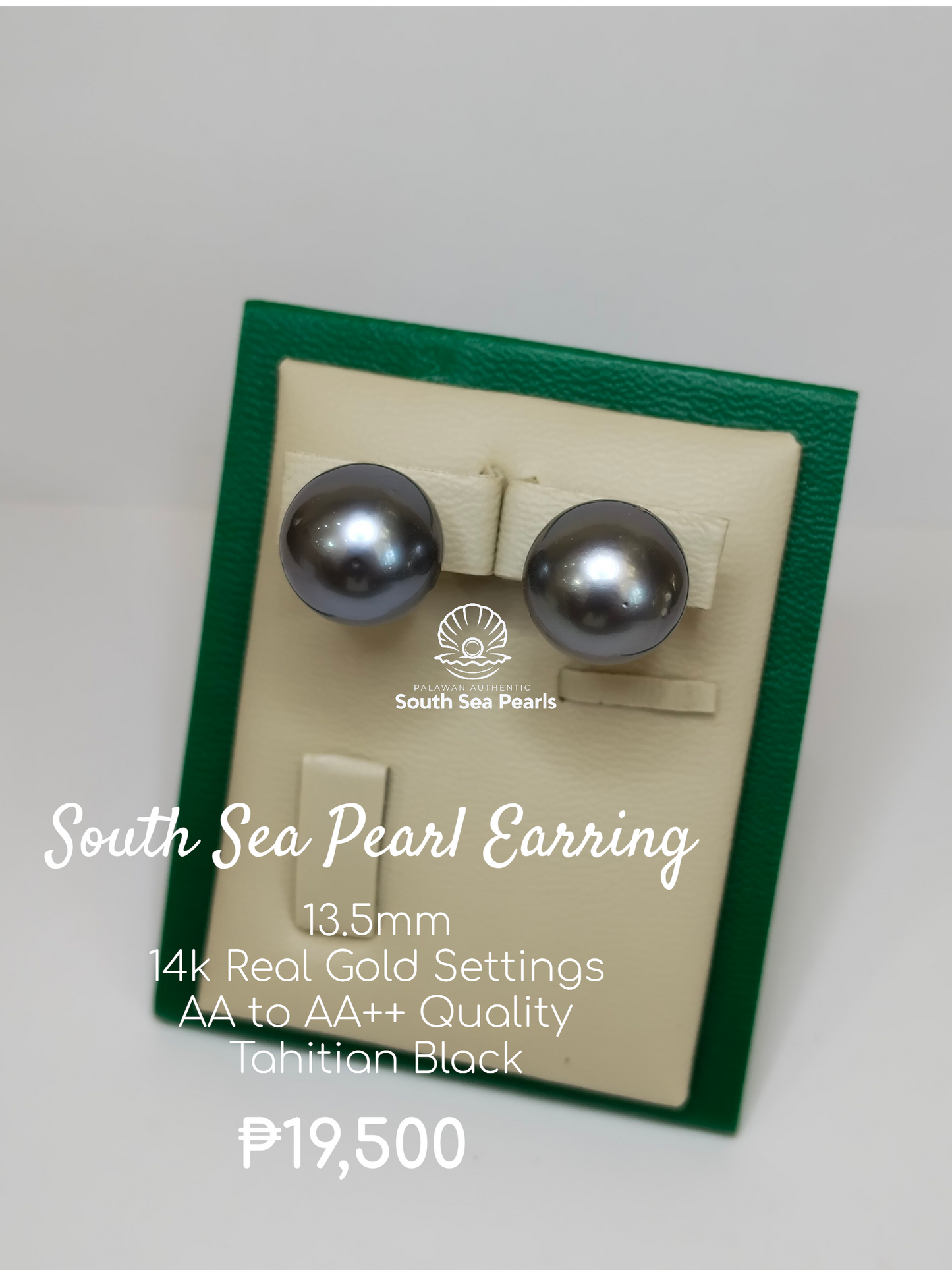 13.5mm Palawan Authentic Tahitian Black Color South Sea Pearl Earring in 14k Real Gold Settings
