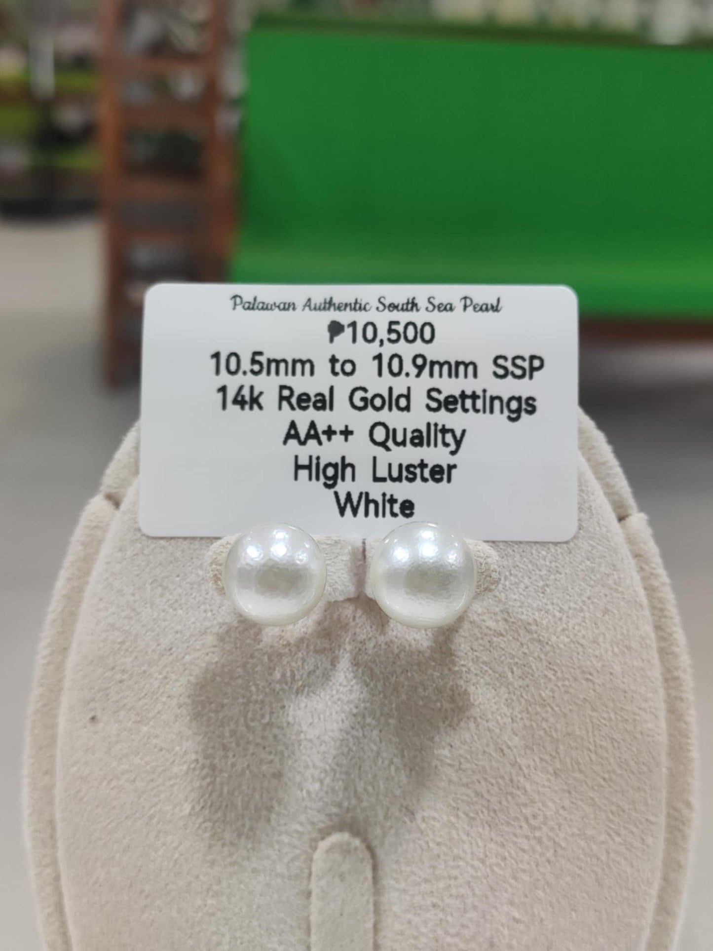 New Arrival! 10.5mm to 10.9mm Authentic White South Sea Pearls Earrings in 14k Gold Settings
