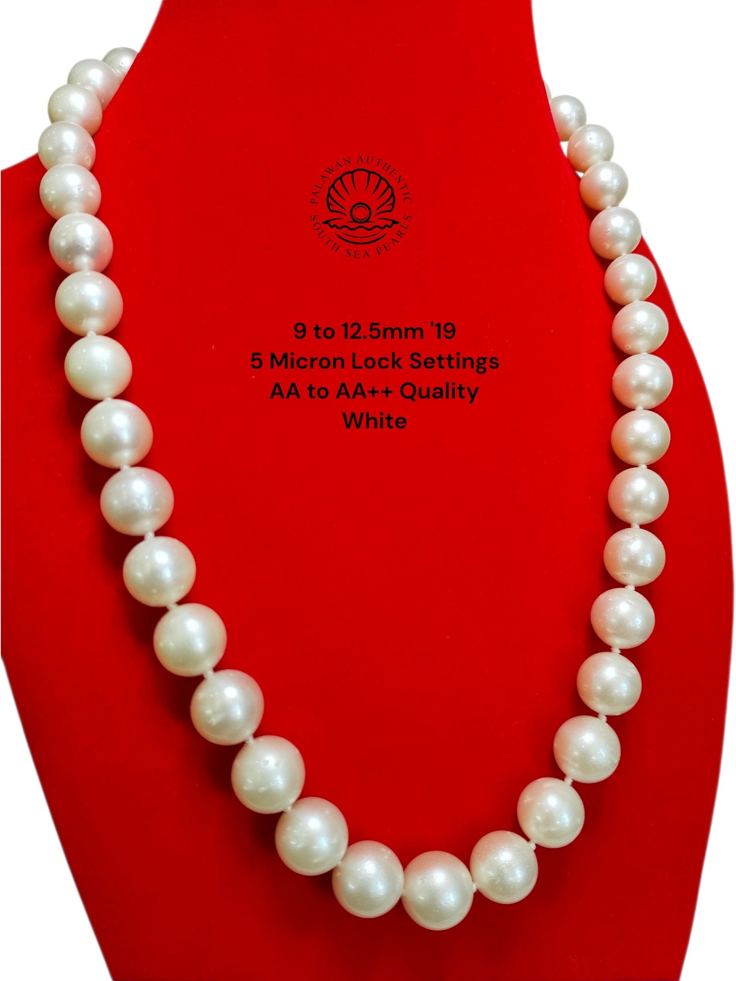 9 to 12.5 Palawan Authentic White Color South Sea Pearl Choker in 5 Micron Lock Settings