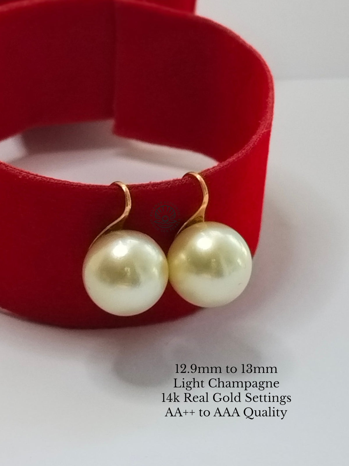 12.9 to 13mm Palawan Authentic Light Champagne Color South Sea Pearl Earrings in 14k Real Gold Settings