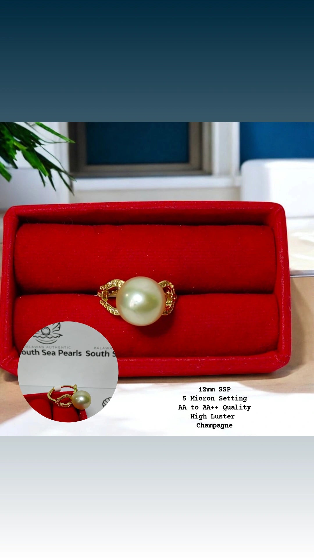 New Arrival! 12mm Authentic Light Champagne Color South Sea Pearl Ring In 5 Micron Setting