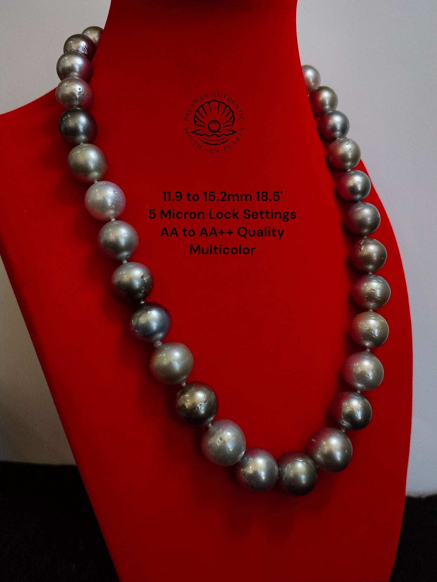 11.9 to 15.2mm Palawan Authentic Multicolor South Sea Pearl Choker in 5 Micron Lock Settings