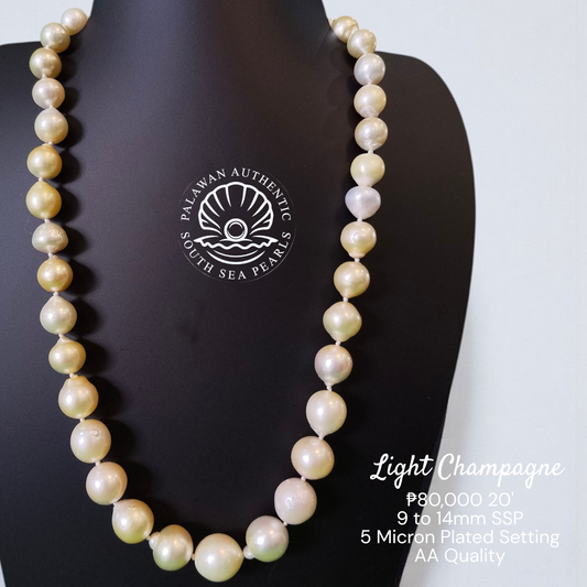 Palawan 9 to 14mm Authentic White South Sea Pearl Choker in 5 Micron Lock Setting.