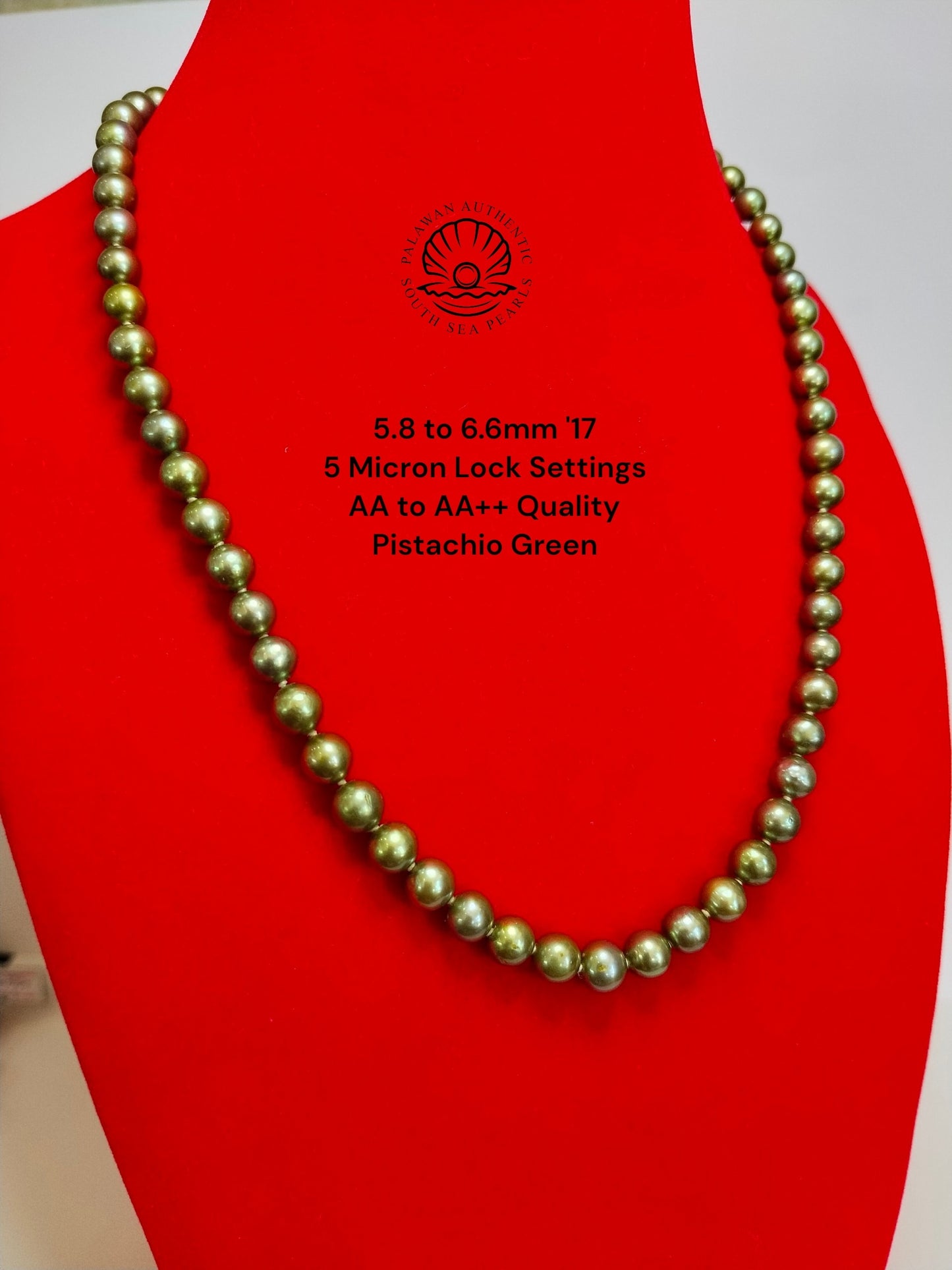 5.8 to 6.6mm Palawan Authentic Pistachio Green Color South Sea Pearl Choker in 5 Micron Lock Settings