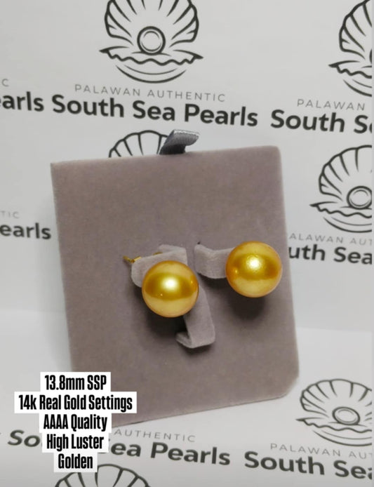 New Arrival! 13.8mm Authentic Golden Color South Sea Pearls Earrings in 14k Real Gold Settings