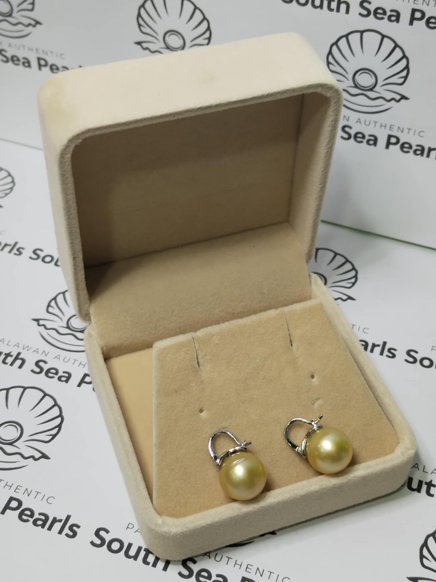 New Arrival! 11.2 to 11.3mm Authentic Golden Color South Sea Pearl Earrings in 5 Micron Plated Settings