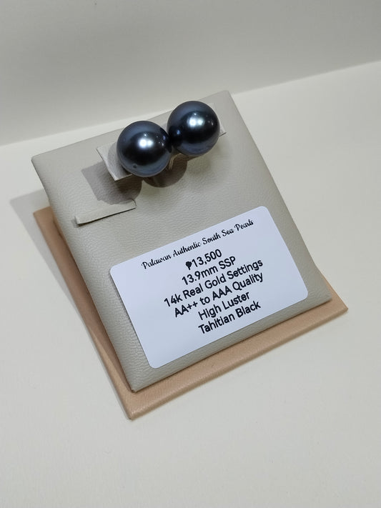 New Arrival! 13.9mm Palawan Authentic Tahitian Black Color South Sea Pearl Earrings in 14k Real Gold Settings