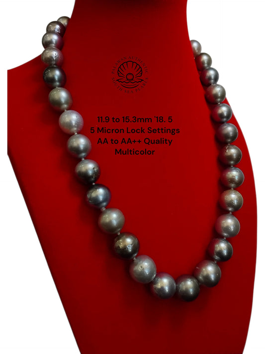11.9 to 15.3mm Palawan Authentic Multicolor South Sea Pearl Choker in 5 Micron Lock Settings