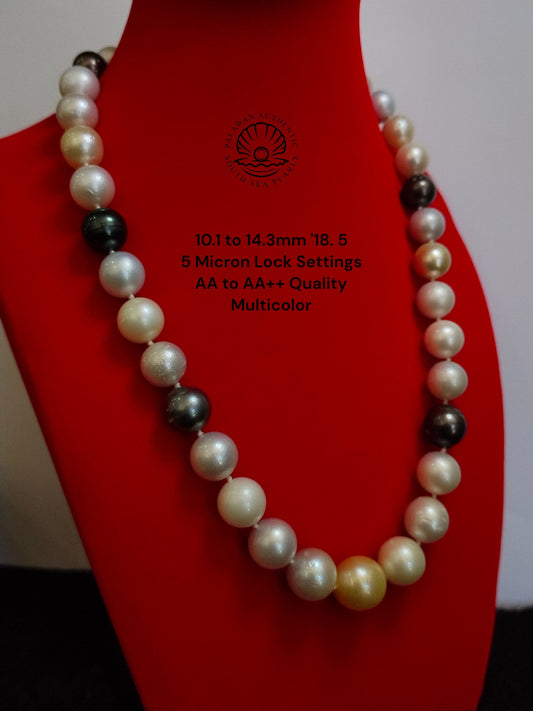 10.1 to 14.3mm Palawan Authentic Multicolor South Sea Pearl Choker in 5 Micron Lock Settings