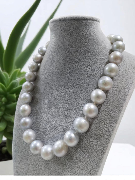 15mm to 16mm Authentic Bluish Gray Color South Sea Pearl Choker Necklace in 5 Micron Settings