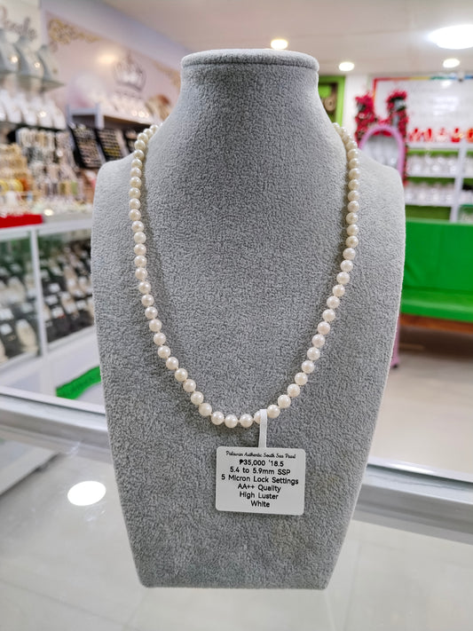 5.4mm to 5.9mm Authentic White South Sea Pearl Choker Necklace