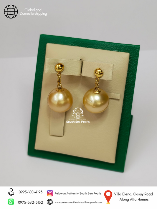 14.4mm to 14.5mm Palawan Authentic Champagne Color South Sea Pearl Earrings in 14k Real Gold Settings
