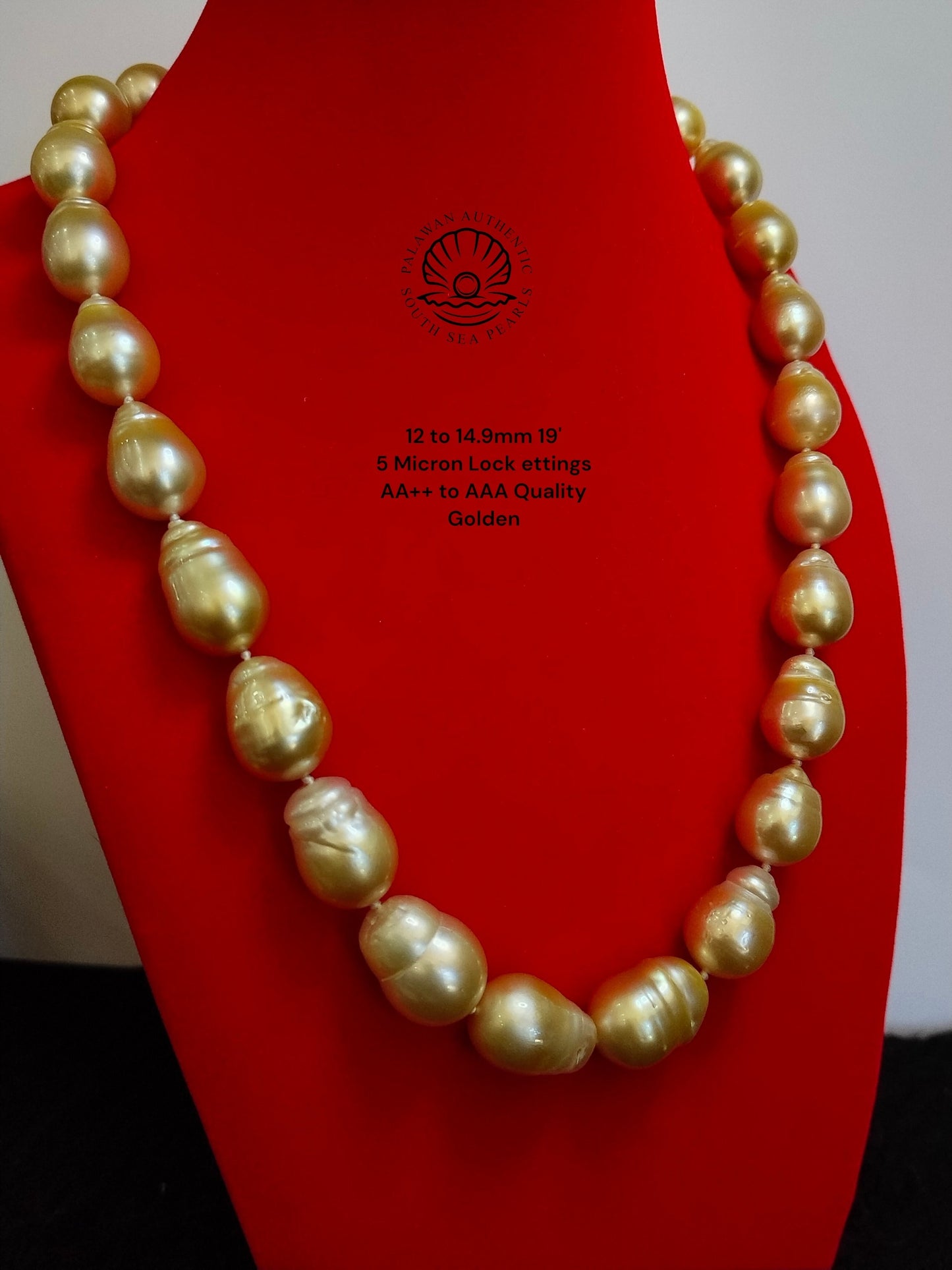 12 to 14.9mm Palawan Authentic Golden Color South Sea Pearl Choker in 5 Micron Lock Settings
