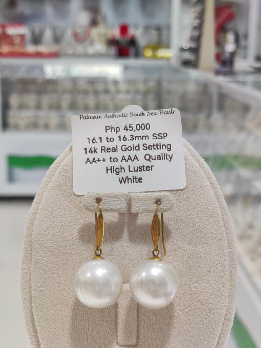 16.1mm to 16.3mm Authentic White South Sea Pearls in 14k Real Gold Settings