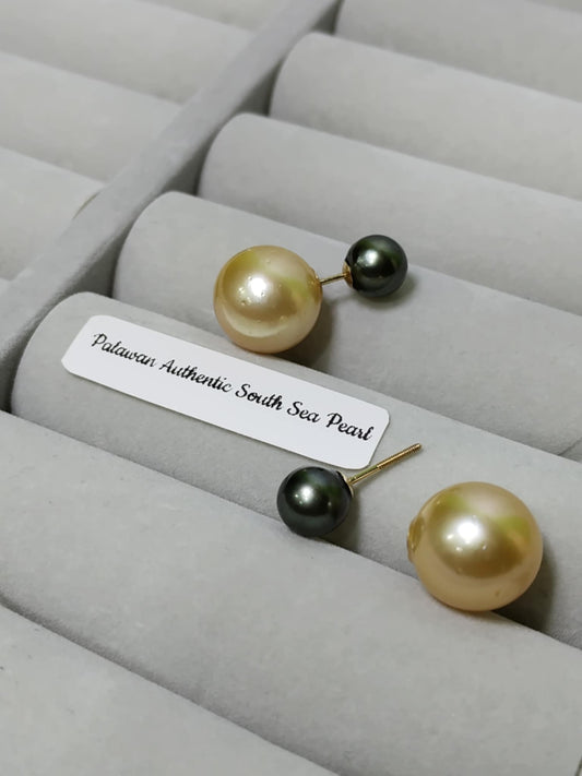 New Arrival! 7.8mm to 13.2mm Authentic Peacock Green and Champagne Color South Sea Pearl Earrings in 14k Real Gold Settings