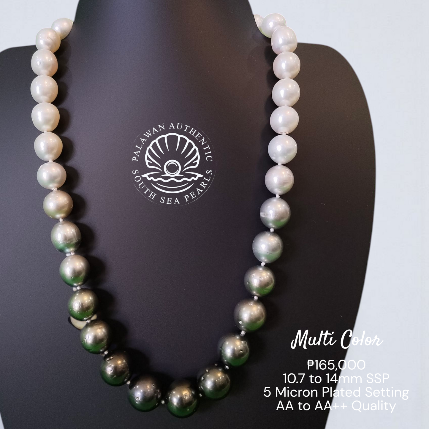 Palawan 10.7 to 14mm Authentic White South Sea Pearl Choker in 5 Micron Lock Setting.