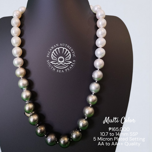 Palawan 10.7 to 14mm Authentic White South Sea Pearl Choker in 5 Micron Lock Setting.