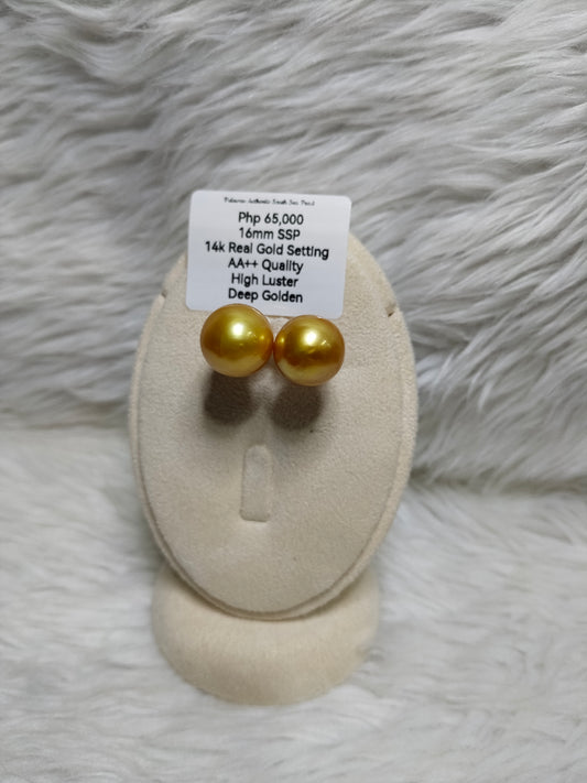 New Arrival! 16mm Authentic Deep Golden South Sea Pearls Earrings in 14k Real Gold Settings