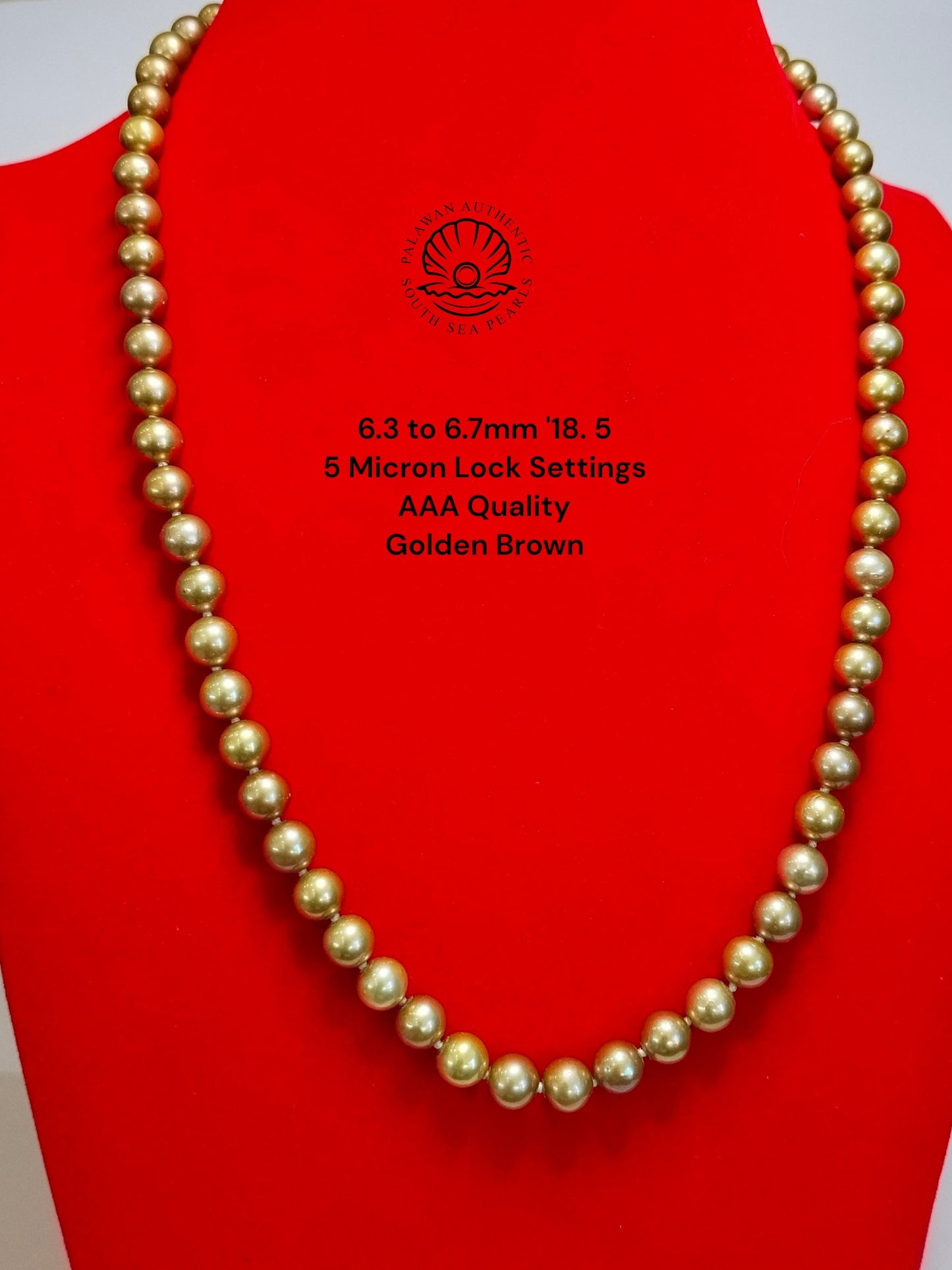 6.3 to 6.7mm Palawan Authentic Golden Brown Color South Sea Pearl Choker in 5 Micron Lock Settings