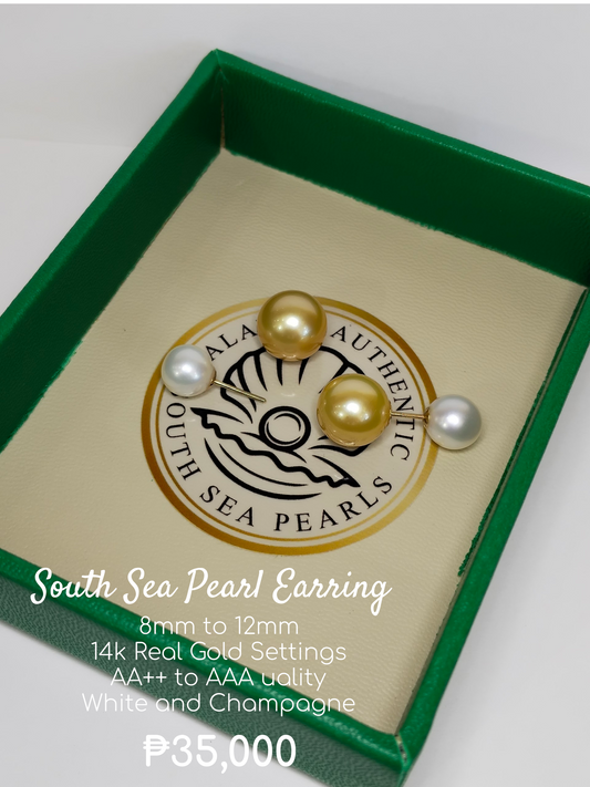 8mm to 12mm Palawan Authentic White and Champagne Color South Sea Pearl Earring in 14k Real Gold Settings